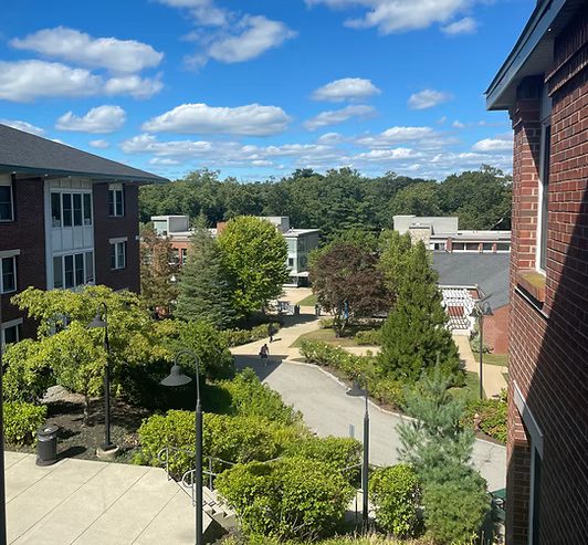 The view from Forest Hall, a primarily upperclassmen residence hall at Lasell University.